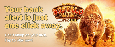 Bet Big, Win Bigger Today!